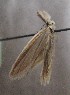 ( - MM27067)  @11 [ ] by-nc (2021) Marko Mutanen University of Oulu