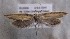  ( - MM27114)  @11 [ ] by-nc (2021) Marko Mutanen University of Oulu