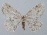  ( - MM27376)  @11 [ ] by-nc (2021) Marko Mutanen University of Oulu