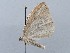  ( - MM27378)  @11 [ ] by-nc (2021) Marko Mutanen University of Oulu