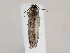  ( - MM27393)  @13 [ ] by-nc (2021) Marko Mutanen University of Oulu