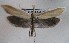  ( - MM27466)  @11 [ ] by-nc (2021) Unspecified University of Oulu
