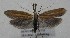  ( - MM27619)  @11 [ ] by-nc (2022) Jukka Tabell Unspecified