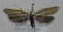  ( - MM27620)  @11 [ ] by-nc (2022) Jukka Tabell Unspecified