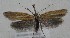  ( - MM27621)  @11 [ ] by-nc (2022) Jukka Tabell Unspecified