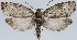  ( - MM27672)  @11 [ ] by-nc (2022) Marko Mutanen University of Oulu