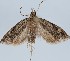  ( - MM27697)  @11 [ ] by-nc (2022) Marko Mutanen University of Oulu