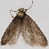  ( - MM27734)  @11 [ ] by-nc (2022) Marko Mutanen University of Oulu