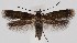  ( - MM27756)  @11 [ ] by-nc (2022) Marko Mutanen University of Oulu