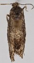 ( - MM27769)  @11 [ ] by-nc (2022) Marko Mutanen University of Oulu