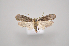  ( - MM27903)  @11 [ ] by-nc (2023) Jari Junnilainen Unspecified