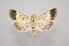 ( - MM27910)  @11 [ ] by-nc (2023) Jari Junnilainen Unspecified