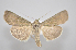  ( - MM27920)  @11 [ ] by-nc (2023) Jari Junnilainen Unspecified