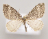  ( - MM27938)  @11 [ ] by-nc (2023) Jari Junnilainen Unspecified