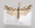  ( - MM27941)  @11 [ ] by-nc (2023) Jari Junnilainen Unspecified