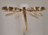  ( - MM27961)  @11 [ ] by-nc (2023) Jari Junnilainen Unspecified