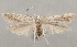  ( - MM28135)  @11 [ ] by-nc (2024) Marko Mutanen University of Oulu
