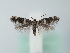  ( - MM28194)  @11 [ ] by-nc (2024) Marko Mutanen University of Oulu