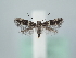  ( - MM28196)  @11 [ ] by-nc (2024) Marko Mutanen University of Oulu