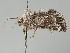  ( - MTah107)  @11 [ ] by-nc (2018) Marko Mutanen University of Oulu