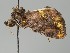 ( - MTah129)  @11 [ ] by-nc (2018) Marko Mutanen University of Oulu