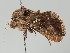  ( - MTah130)  @11 [ ] by-nc (2018) Marko Mutanen University of Oulu