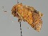  ( - MTah160)  @11 [ ] by-nc (2018) Marko Mutanen University of Oulu