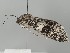  ( - MTah180)  @11 [ ] by-nc (2018) Marko Mutanen University of Oulu