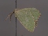  ( - MTah286)  @11 [ ] by-nc (2022) Marko Tähtinen Unspecified