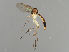  ( - MZH_GAS.2803)  @11 [ ] by-nc (2021) Marko Mutanen University of Oulu