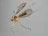  ( - MZH_GAS.2807)  @11 [ ] by-nc (2021) Marko Mutanen University of Oulu