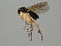  ( - MZH_GAS.417)  @11 [ ] by-nc (2021) Ella Sippola University of Oulu