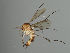  ( - MZH_GAS.460)  @11 [ ] by-nc (2021) Marko Mutanen University of Oulu