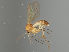  ( - MZH_GAS.469)  @11 [ ] by-nc (2021) Marko Mutanen University of Oulu