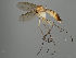 ( - MZH_GAS.487)  @11 [ ] by-nc (2021) Marko Mutanen University of Oulu