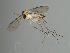  ( - MZH_GAS.497)  @11 [ ] by-nc (2021) Marko Mutanen University of Oulu