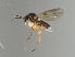  ( - MZH_GAS.509)  @11 [ ] by-nc (2021) Marko Mutanen University of Oulu