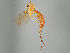  ( - MZH_GAS.514)  @11 [ ] by-nc (2021) Marko Mutanen University of Oulu