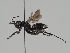  ( - MZH_GP.100689)  @11 [ ] by-nc (2018) Marko Mutanen University of Oulu