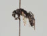  ( - MZH_GP.101006)  @11 [ ] CreativeCommons - Attribution Non-Commercial (2018) Marko Mutanen University of Oulu