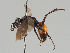  ( - MZH_GP.101079)  @11 [ ] CreativeCommons - Attribution Non-Commercial (2018) Marko Mutanen University of Oulu