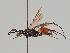  ( - MZH_GP.101132)  @11 [ ] CreativeCommons - Attribution Non-Commercial (2018) Marko Mutanen University of Oulu