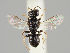  ( - MZH_GP.79488)  @11 [ ] CreativeCommons - Attribution Non-Commercial (2018) Marko Mutanen University of Oulu