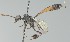  ( - MZH_GQ.6562)  @11 [ ] by-nc (2023) Simo Vaananen Luomus