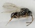  ( - MZH_GQ.6691)  @11 [ ] by-nc (2023) Simo Vaananen Luomus