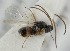  ( - MZH_GQ.6694)  @11 [ ] by-nc (2023) Simo Vaananen Luomus