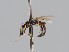 ( - MZH_KZ.7691)  @11 [ ] CreativeCommons - Attribution Non-Commercial (2018) Marko Mutanen University of Oulu