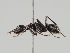  ( - MZH_KZ.7695)  @11 [ ] CreativeCommons - Attribution Non-Commercial (2018) Marko Mutanen University of Oulu