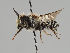  ( - MZH_KZ.7699)  @11 [ ] CreativeCommons - Attribution Non-Commercial (2018) Marko Mutanen University of Oulu