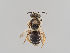  ( - MZH_KZ.7700)  @11 [ ] CreativeCommons - Attribution Non-Commercial (2018) Marko Mutanen University of Oulu